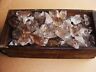 1000 Carat Lots Of Smokey Quartz Rough - High Quality + A Free Faceted Gemstone