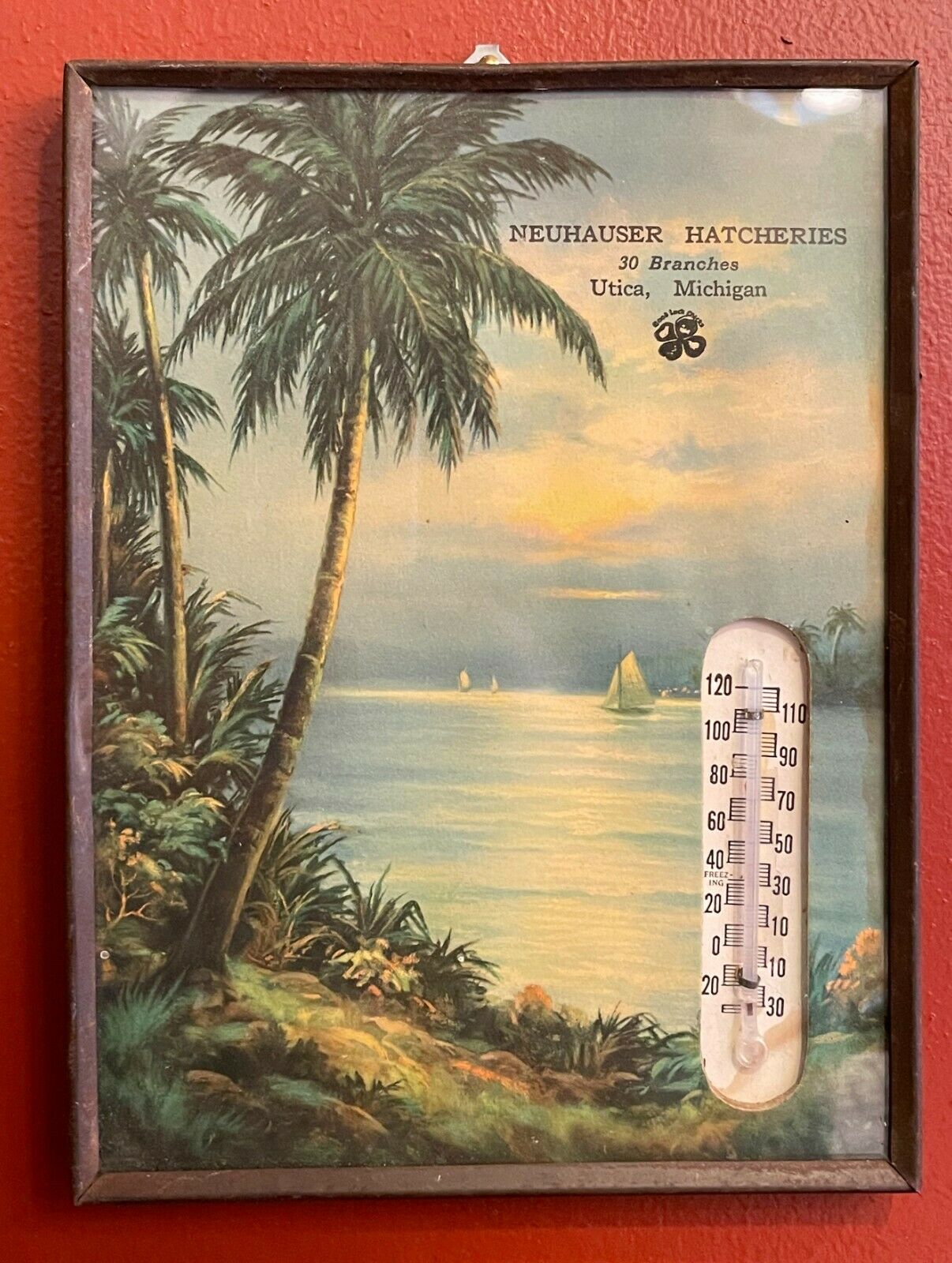 Vintage Advertising Thermometer, Neuhauser Hatcheries, Utica Michigan, Tropical